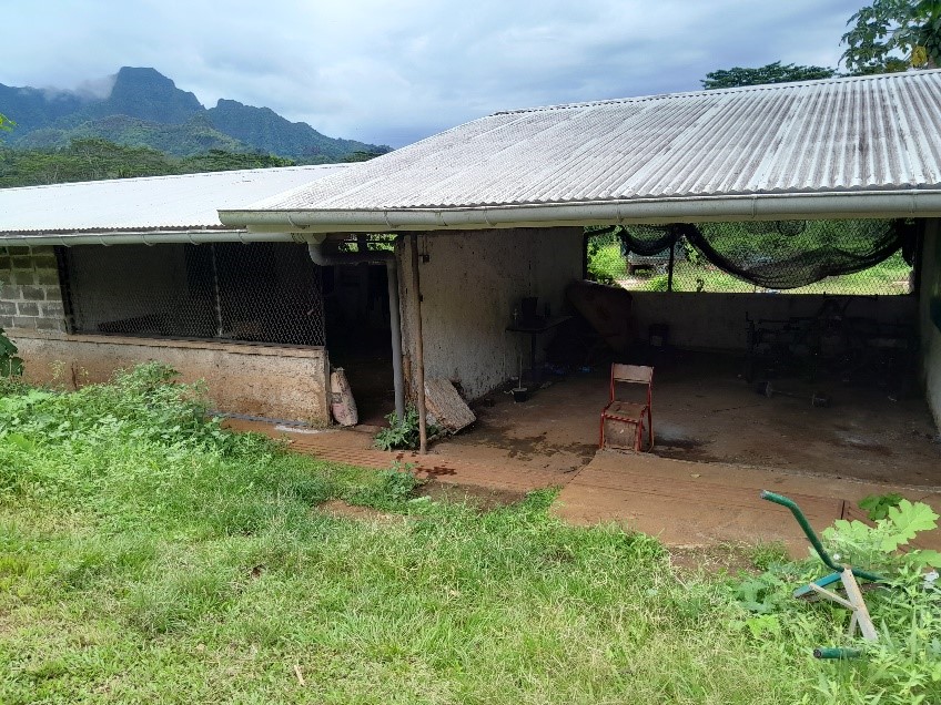 Image11