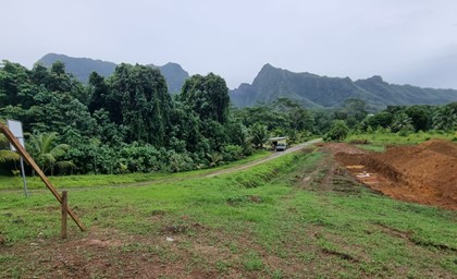 Image4