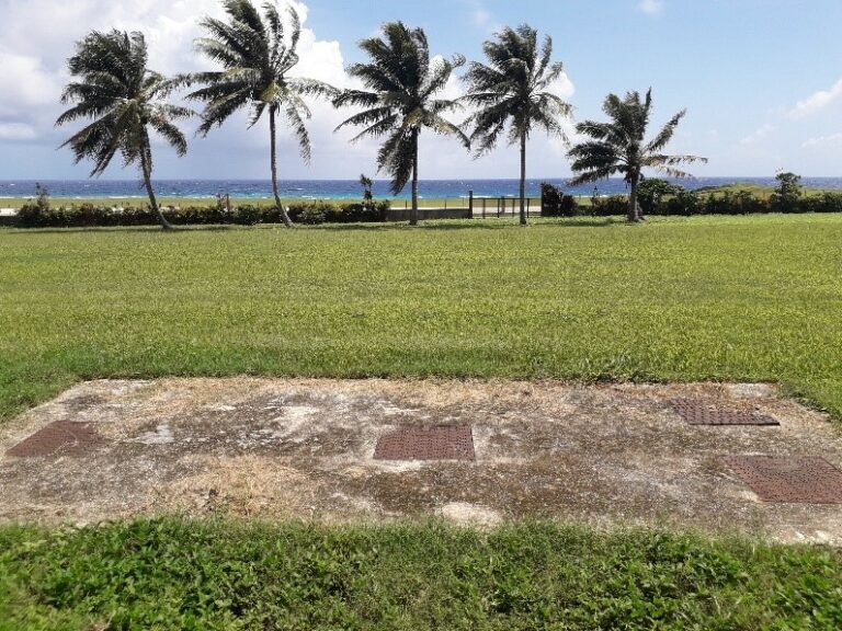 Image7